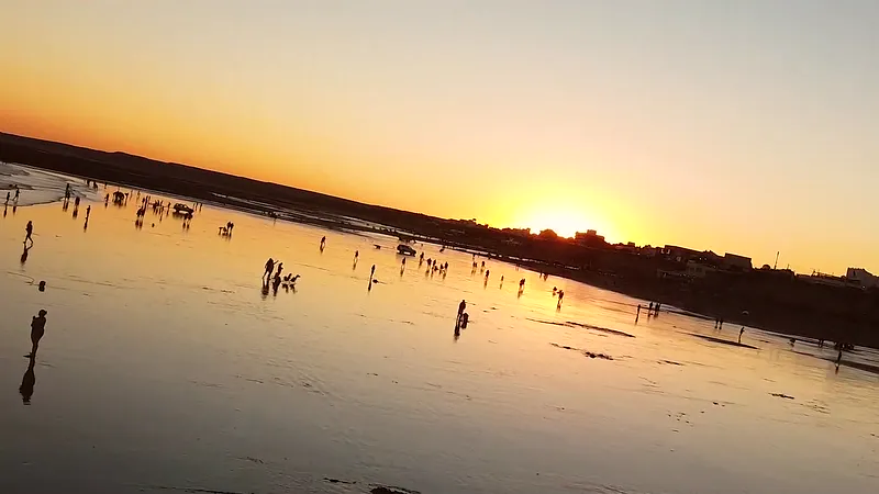 Atardecer en la restinga